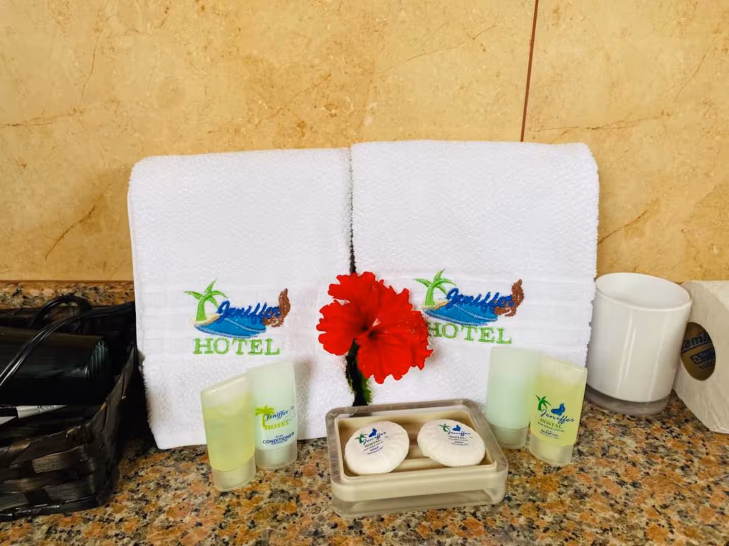 Lobo marino nadando en aguas cristalinas